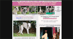 Desktop Screenshot of lewhippet.com