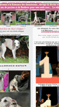 Mobile Screenshot of lewhippet.com