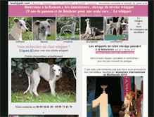 Tablet Screenshot of lewhippet.com